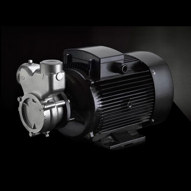 南方泵業(yè)QY（B），QYL（B）不銹鋼自吸氣液混合泵